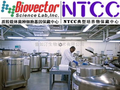 pAAV2/5載體系統(tǒng)技術(shù)開(kāi)發(fā)與供應(yīng)趨勢(shì)分析