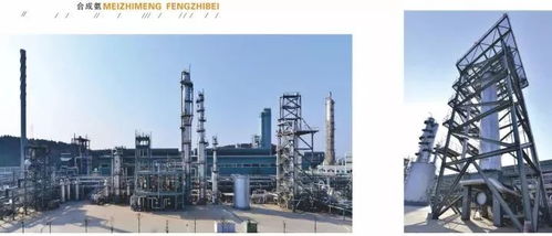 四川美豐一項關鍵化工工藝通過科技成果鑒定，引領行業綠色高效發展